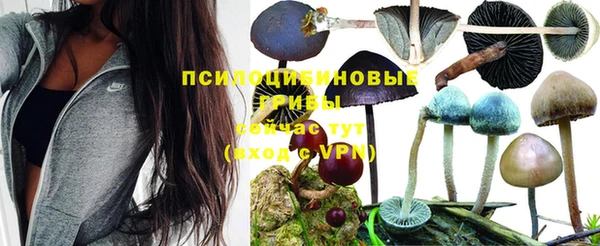 гашишное масло Баксан